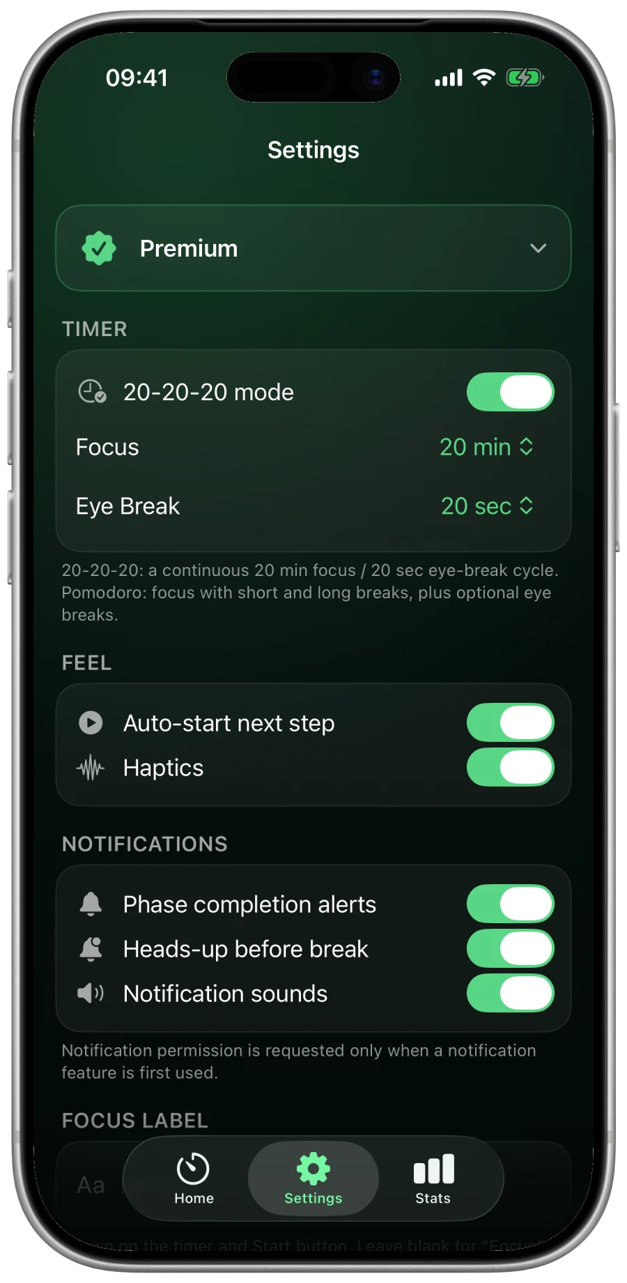 Blink settings in the Forest theme in a real Silver iPhone frame